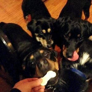 Meet your Posher, Katie